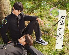 亚洲欧洲免费视频网海报剧照